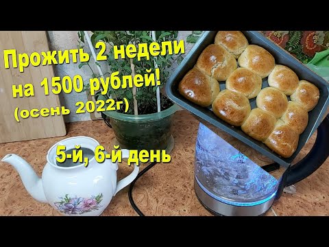 Видео: Прожить 2 недели на 1500 руб.! Осень 2022г! Доела все готовое! Мятный чай! Булочки хорошо пошли)))