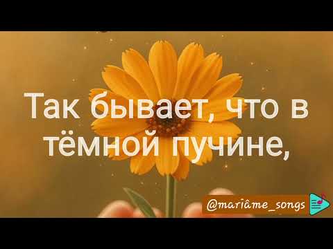 Видео: ТАК БЫВАЕТ