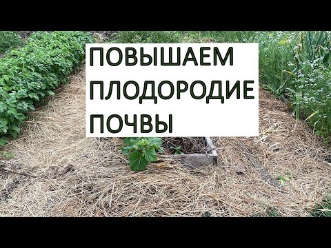 Видео: МУЛЬЧИРОВАНИЕ: как, чем и зачем?   СЕННАЯ ПАЛОЧКА - залог здоровья растений!