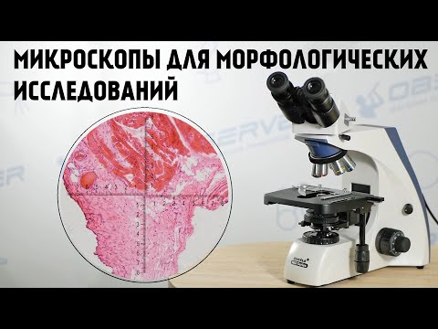 Видео: Медицинский микроскоп Levenhuk Med 30/35