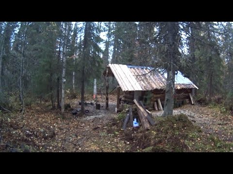 Видео: 80 дней в тайге. Пушной промысел. Видеодневник. Часть 1