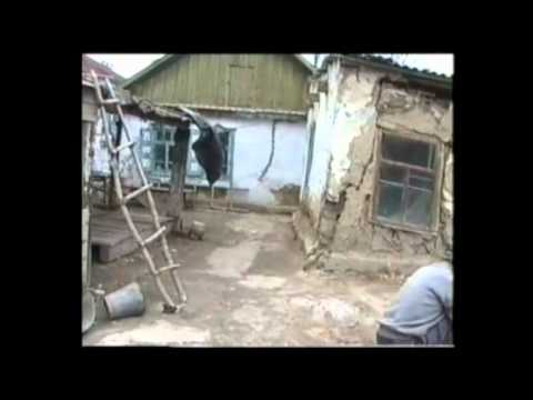 Видео: Чилик 1часть.