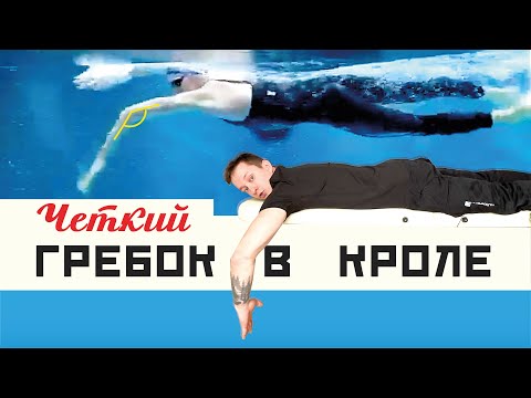Видео: КАК ДЕЛАТЬ ГРЕБОК КРОЛЕМ. Техника плавания. Полный разбор