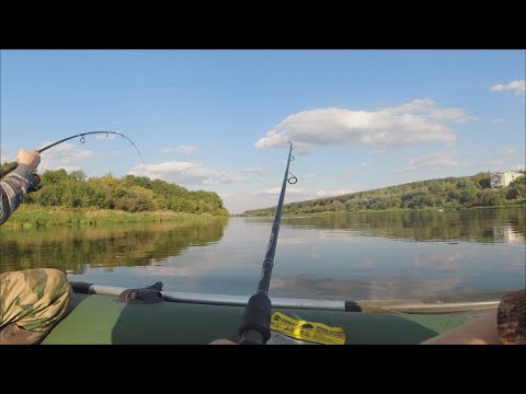 Видео: РЫБАЛКА НА СПИННИНГ В СЕНТЯБРЕ, ЛОВЛЯ ЩУКИ В СЕНТЯБРЕ!!!