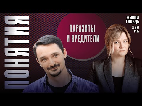 Видео: Паразиты и вредители. Понятия с Виктором Вахштайном* и Ириной Воробьёвой / 30.05.25