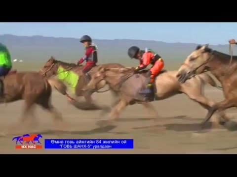 Видео: ГОВЬ ШАНХ-5 уралдаан /Их нас/