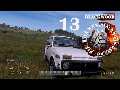 Видео: "Пасмурное утро" # 13 Dayz PVE (первый сезон)