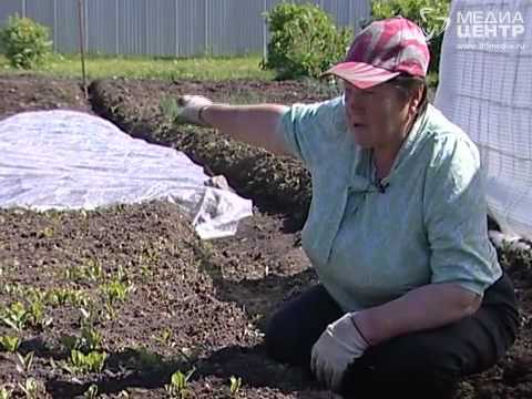 Видео: "Дорогой к людям": Ботово