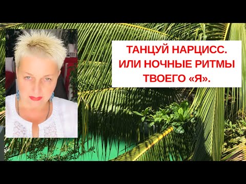 Видео: ТАНЦУЙ НАРЦИСС. ИЛИ НОЧНЫЕ РИТМЫ ТВОЕГО « Я». Екатерина Эрлих