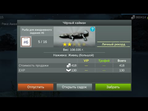 Видео: Чёрный кайман▶My fishing world▶мой рыболовный мир▶где и на что ловить чёрного каймана