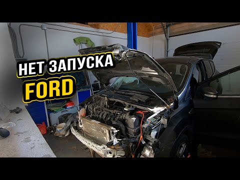 Видео: КУПИЛИ БИТУЮ КУГУ И НЕ МОГУТ ЗАВЕСТИ