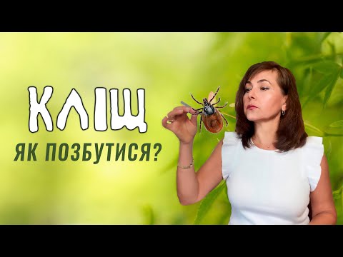 Видео: Кліщі / Репеленти / Хвороба Лайма / Борреліоз / Як правильно видалити кліща /Dr. Ruslana Borysenko