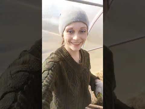 Видео: про обсуждение канала" Ольга 1972"