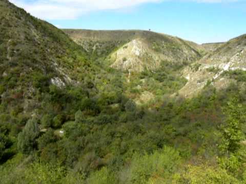 Видео: Цыпово (Планета Земля. Одна из тайн)