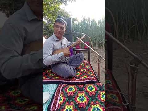 Видео: Кобил бахшидан Зохид полвонга терма