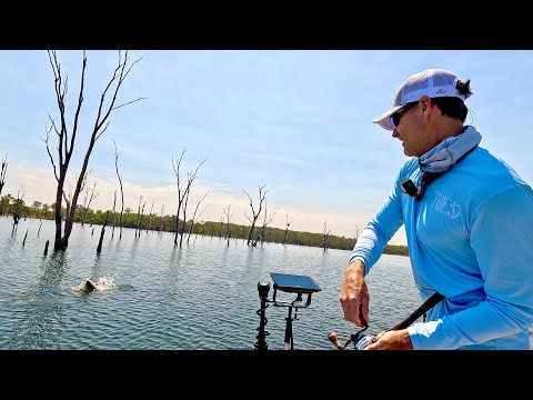 Видео: Гиганты, приманивающие рывковую рыбу / плотина Мондуран