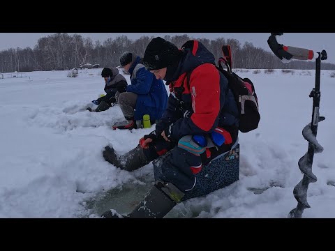 Видео: Лучшая ТАКТИКА на РЫБАЛКЕ в ГЛУХОЗИМЬЕ! Отловились ВСЕ!  РОЗЫГРЫШ снастей!
