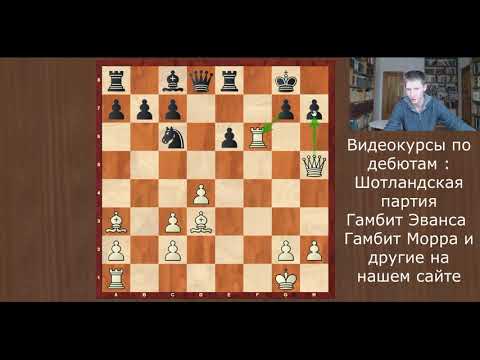 Видео: Шахматы. Гамбитная система