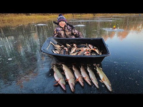 Видео: 30 октября 2025 г.