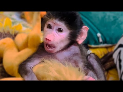 Видео: Люська-ФУТБОЛЬНЫЙ ФАНАТ смотрит любимые мультики)