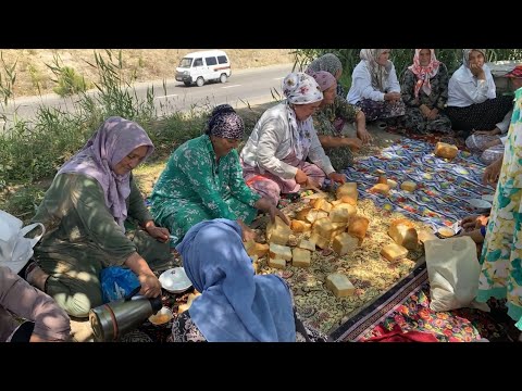 Видео: Узбекистан! Нас пригласили в сады на сбор абрикос и отведать плов