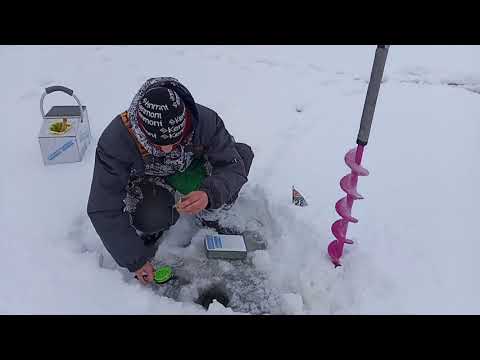 Видео: Разбор ошибок. Спортивная мормышка. 3 этап отборочных. Полный отчёт.