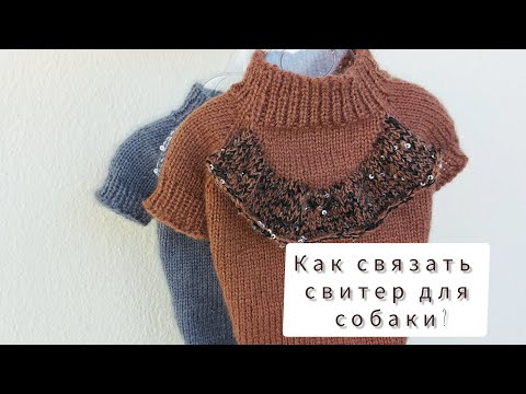 Видео: КАК СВЯЗАТЬ ОДЕЖДУ ДЛЯ СОБАК?