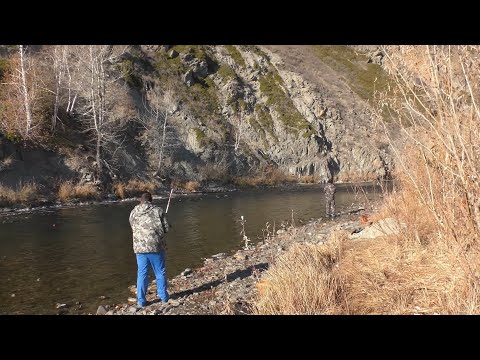 Видео: Рыбачим на золотой речке Кальджир.