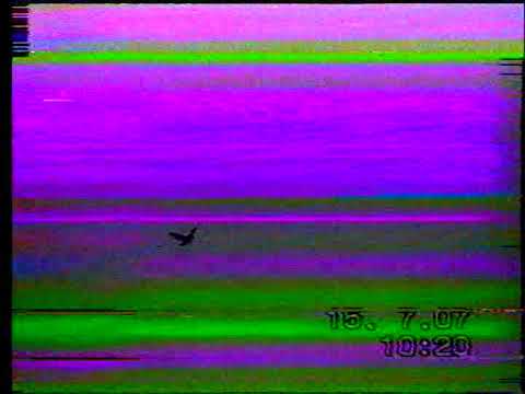 Видео: Ретро кадри:"Пазарджишки високолетци"-диск 2.2,част 1