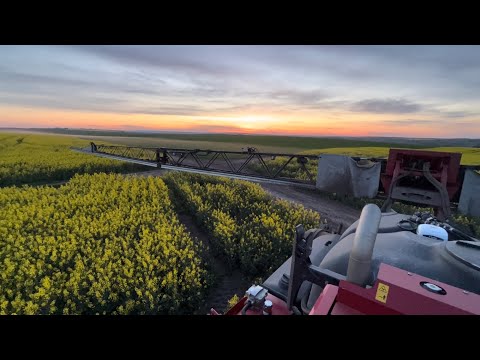 Видео: Оприскувач HORSCH Leeb 5VL. Крута машина!!! Швидкість 22км/год!!! Обробіток ріпаку по цвітінню.