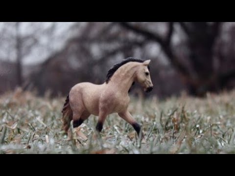 Видео: Розыгрыш в сказке
