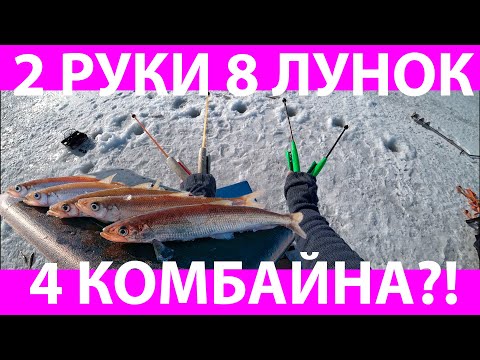 Видео: Зубатка, навага. Рыбалка на 4 комбайна!