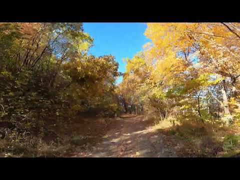 Видео: Красиви есенни багри от Витоша