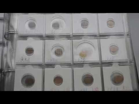 Видео: Хранение монет. Как правильно хранить монеты? Storage coins. How to store the coins? Нумизматика.