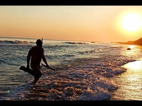 Видео: Выход форели! Подводная охота на закате.