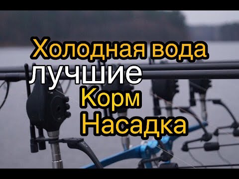 Видео: Лучшие корм и насадка в холодной воде. Ловля карпа весной.