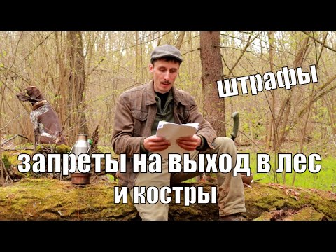 Видео: Запреты на выход в лес, правила разведения костров, штрафы итд. Что важно знать.