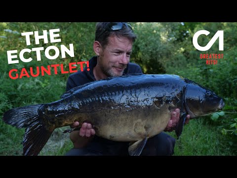 Видео: ЛОВЛЯ КАРПОВ | ЛОВКА КАРПОВ. ЛУЧШИЕ ХИТЫ | ЭКТОНОВСКАЯ ПЕРЧАТКА!