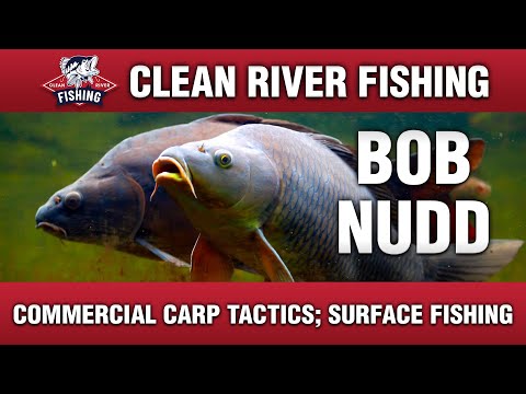 Видео: CRP198 BOB NUDD - ТАКТИКА КОММЕРЧЕСКОГО КАРПА; ПОВЕРХНОСТНАЯ РЫБАЛКА