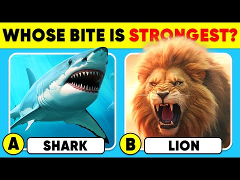 Видео: Насколько хорошо вы знаете животных? 🦁👑✅ Викторина на общие знания
