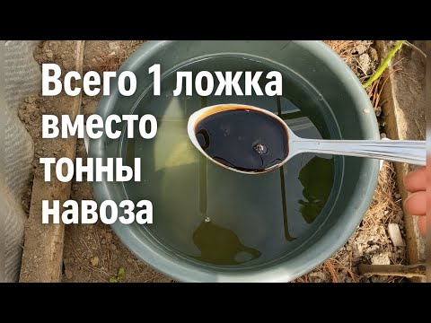 Видео: 1 ложка на ведро воды и земля завалит урожаем, СРОВЕТСКАЯ подкормка для питания и от всех болезней