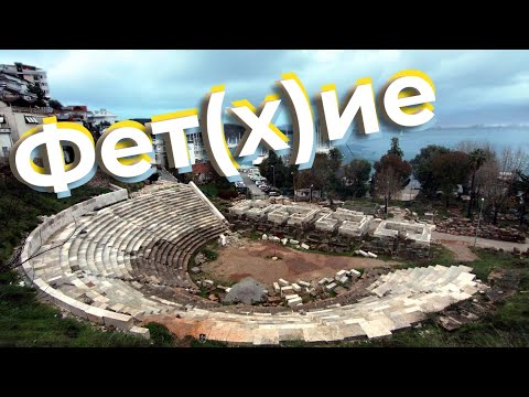 Видео: Фет(х)ие