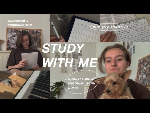 Видео: как БЫСТРО учить тексты? / учусь дома 24 часа