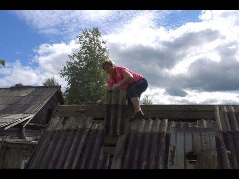 Видео: Такое не покажут по телевизору! Что происходит за забором в деревне