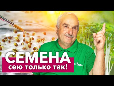 Видео: СЕМЕНА ВСХОДЯТ ЩЕТКОЙ после этого простого приема! Даже старые семена проклюнутся на 3-й день