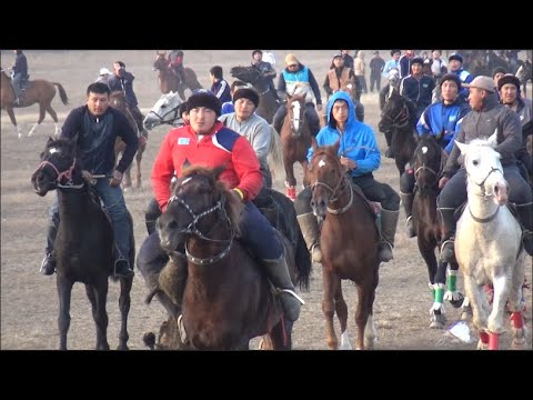 Видео: 16.11.2024 Алимкуловтар әулетінің елден бата алу көкпар тойы