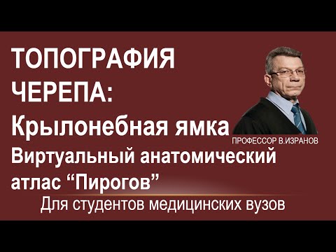 Видео: Топография черепа: крылонебная ямка.