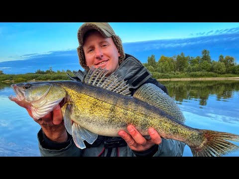 Видео: ЛОВЛЯ СУДАКА на ДЖИГ | РЫБАЛКА на ПРИПЯТИ ОСЕНЬЮ | ZANDER FISHING