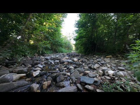 Видео: Лимец - Малък Девесил  04.07.2025