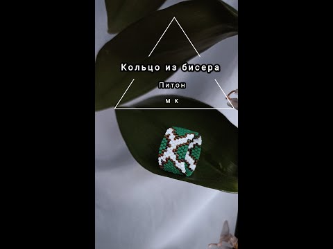 Видео: #MK Мастер класс кольцо из бисера Питон. #DIY Diy beads ring Reptile.